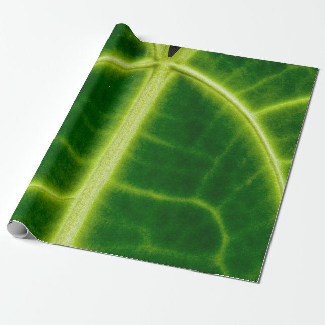 Grönt Presentpapper (Utrullad)