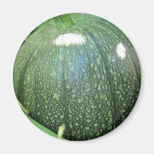 Grönt Pumpkin Magnet
