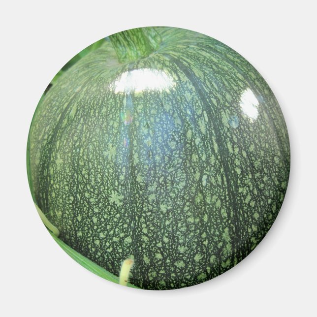 Grönt Pumpkin Magnet (Framsidan)