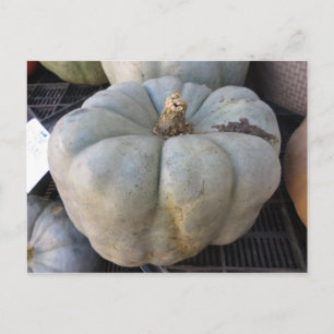 Grönt Pumpkin Vykort