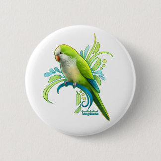 Grönt Quaker Parrot Knapp