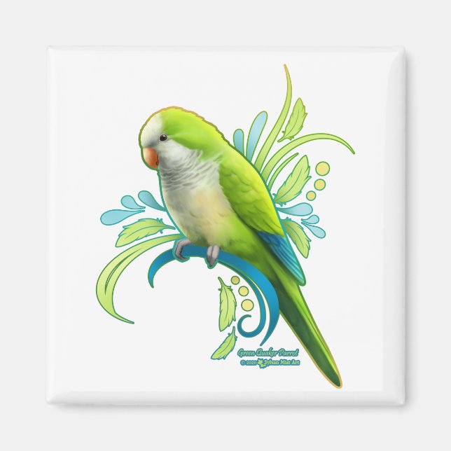 Grönt Quaker Parrot Magnet (Framsidan)
