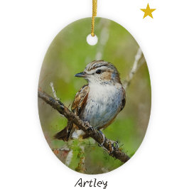 Grönt Red Eyed Vireo Bird Painting Årlig jul Julgransprydnad Keramik
