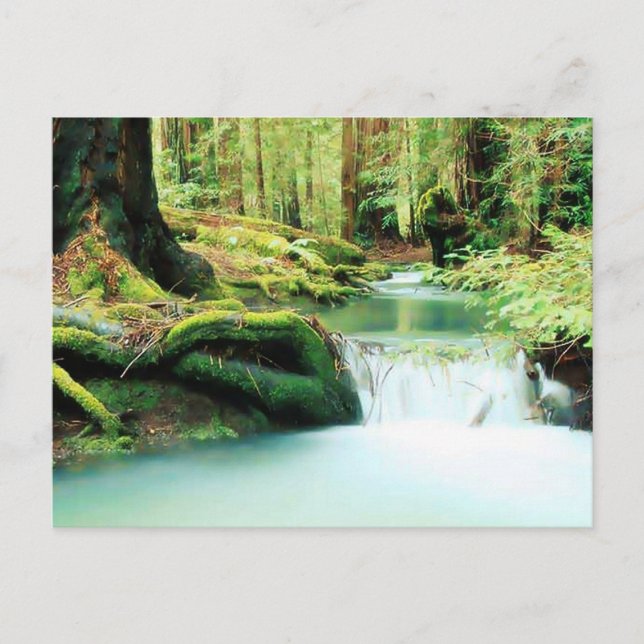 Grönt River Falls Vykort (Framsida)