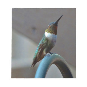 Grönt Ruby Little Hummingbird Anteckningsblock