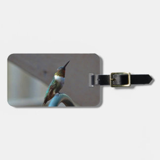 Grönt Ruby Little Hummingbird Bagagebricka