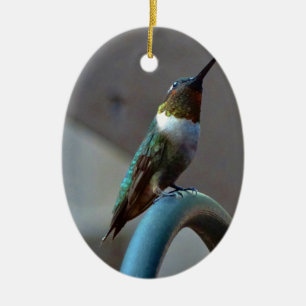 Grönt Ruby Little Hummingbird Julgransprydnad Keramik