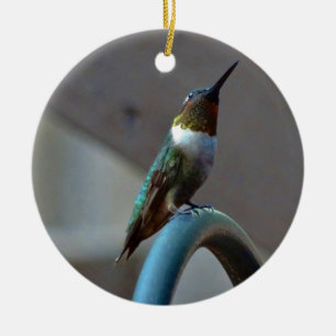 Grönt Ruby Little Hummingbird Julgransprydnad Keramik
