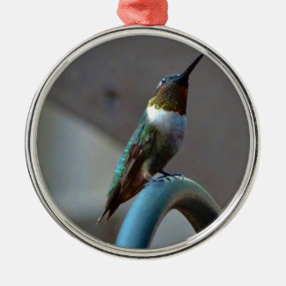 Grönt Ruby Little Hummingbird Julgransprydnad Metall