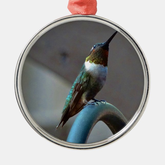 Grönt Ruby Little Hummingbird Julgransprydnad Metall (Framsidan)