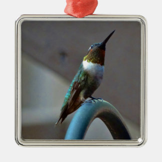 Grönt Ruby Little Hummingbird Julgransprydnad Metall