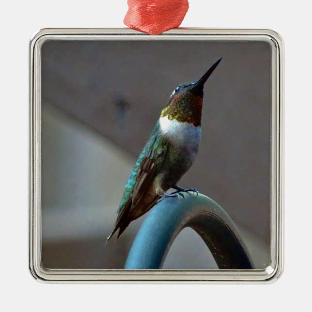 Grönt Ruby Little Hummingbird Julgransprydnad Metall (Framsidan)