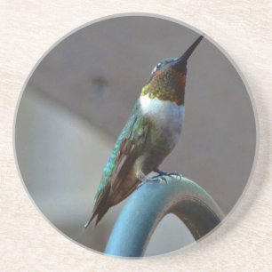 Grönt Ruby Little Hummingbird Underlägg