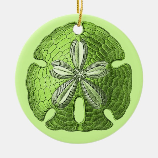 Grönt Sand Dollar Ornament (Framsidan)