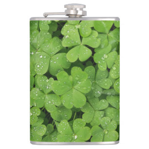 Grönt schamprock, tur: St. Patricks klöver Fickplunta
