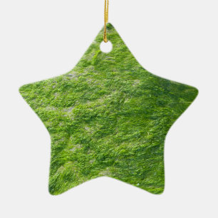Grönt Sea Moss Nature Grass Beach Nautical Julgransprydnad Keramik