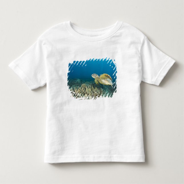 Grönt Sea Turtle (Chelonia mydas) är de tre Tee Shirt (Framsida)