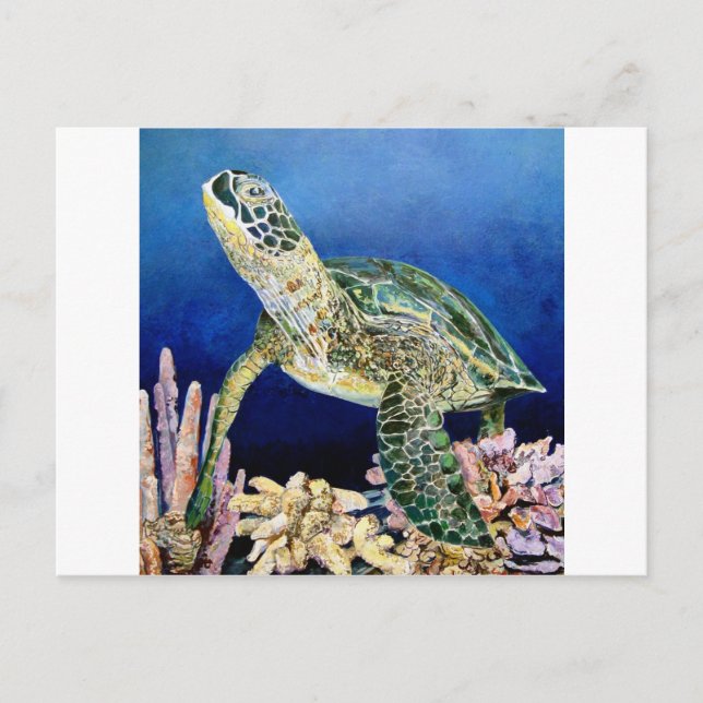 Grönt Sea Turtle Gazing Vykort (Framsida)