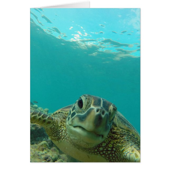 Grönt Sea Turtle Hälsningskort (Framsidan)