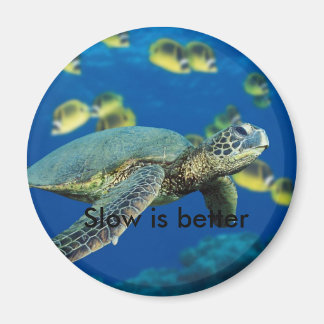 Grönt Sea Turtle, långsam är bättre Magnet