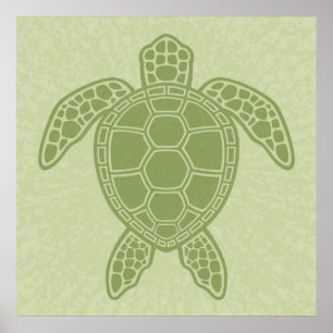 Grönt Sea Turtle Poster