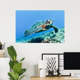 Grönt Sea Turtle Poster