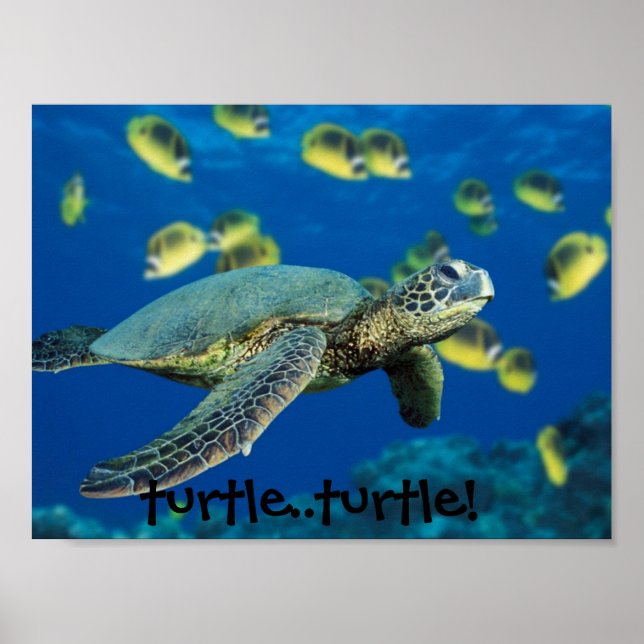 Grönt Sea Turtle, sköldpadda! Poster (Framsidan)