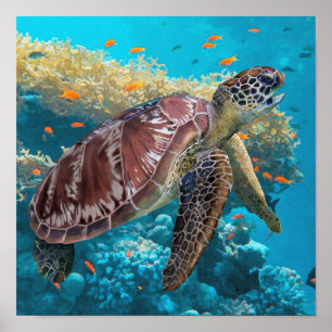 Grönt Sea Turtle Swimming Near Coral Reef Poster