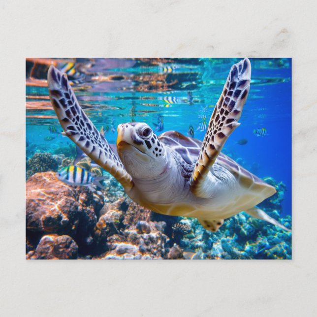 Grönt Sea Turtle Swimming over Coral Reef |Hawaii Vykort (Framsida)