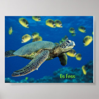 Grönt Sea Turtle, var fri Poster