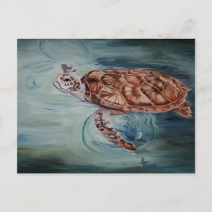 Grönt Sea Turtle-vykort Vykort