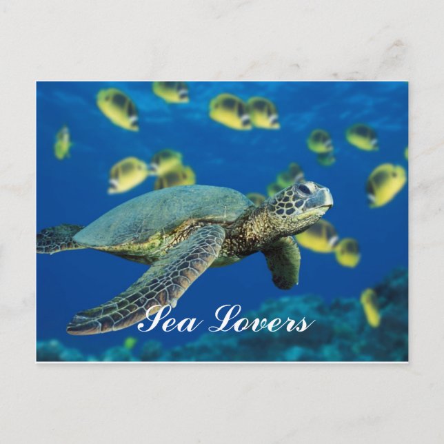 Grönt Sea Turtle-vykort Vykort (Framsida)