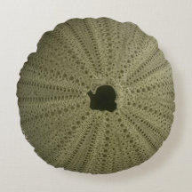 Grönt Sea Urchin Dekorativ kudde