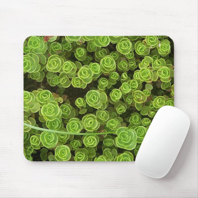 Grönt Sedum Garden Plant Musmatta (Med mus)