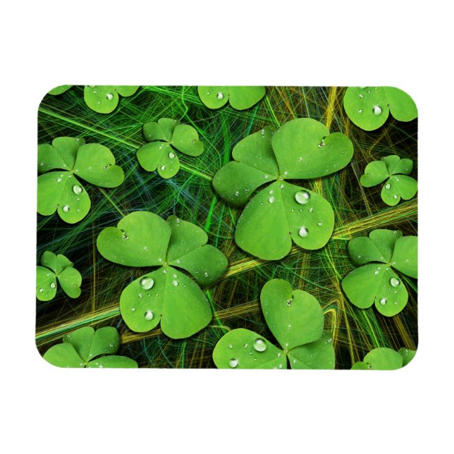 Grönt Shamrock St patrick's day Flexi Magnet (Horisontell)