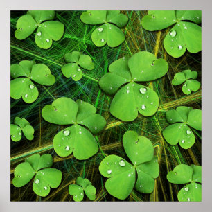 Grönt Shamrock St patrick's day Poster