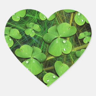 Grönt Shamrock St patrick's day Sticker Hjärtformat Klistermärke