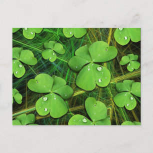 Grönt Shamrock St patrick's day vykort