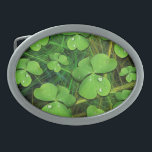 Grönt Shamrock St Patrick's iPhone 5 Fodral-Mate<br><div class="desc">Grönt Shamrock Artistic Design,  Symbol of St patrick's day - Digital Art Copyright Bluedakart TheChameleonArt</div>