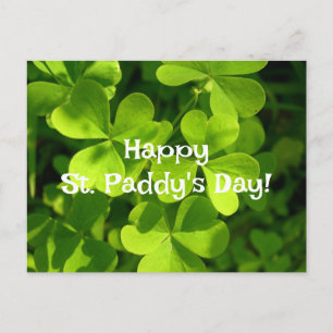 Grönt Shamrocks, vykort för Paddy's-dagen