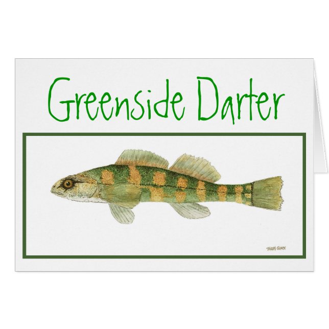 Grönt sid Darterkortet Hälsningskort (Framsidan Horizontal)