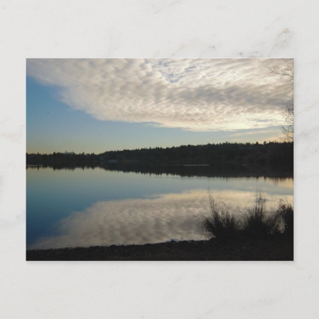 Grönt Sjö vykort (Framsida)