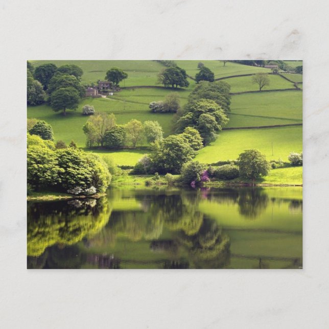 Grönt Sjö Vykort (Framsida)