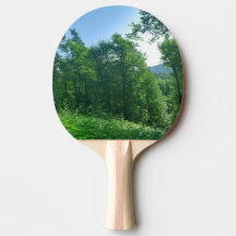 Grönt Skogslandskap