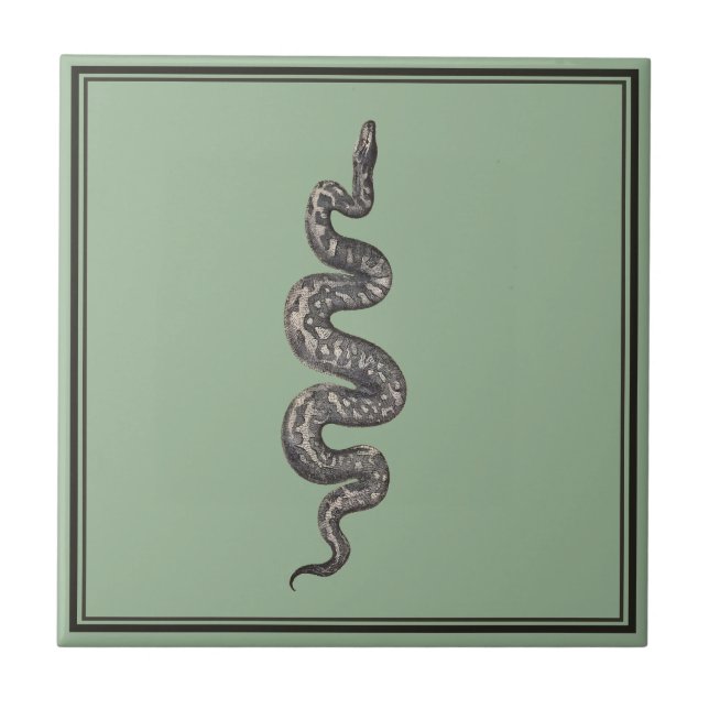 Grönt Snake Kakelplatta (Framsidan)