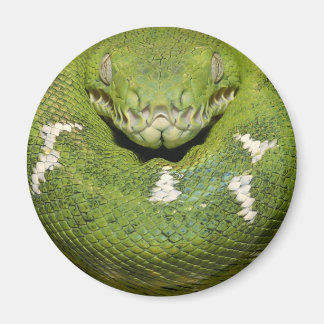 Grönt Snake Product Magnet