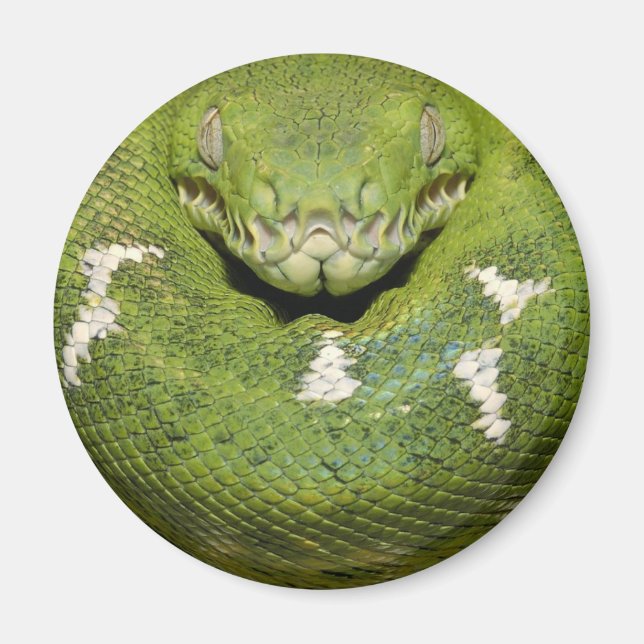 Grönt Snake Product Magnet (Framsidan)