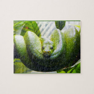 Grönt Snake Puzzel Pussel