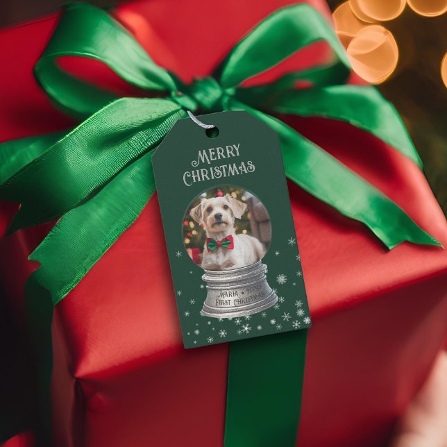 Grönt Snowglobe Snowflake Photo Presentetikett (Green snowglobe gift tag 
)