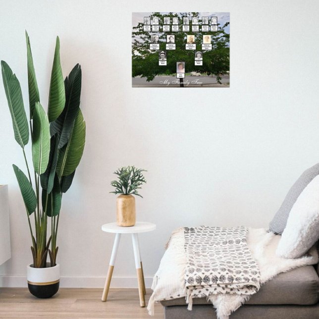 Grönt Sommarfamiljens Träd Photo Poster (Skapare uppladdad)